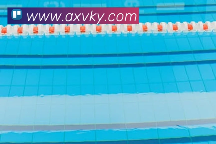 App Interface Preview